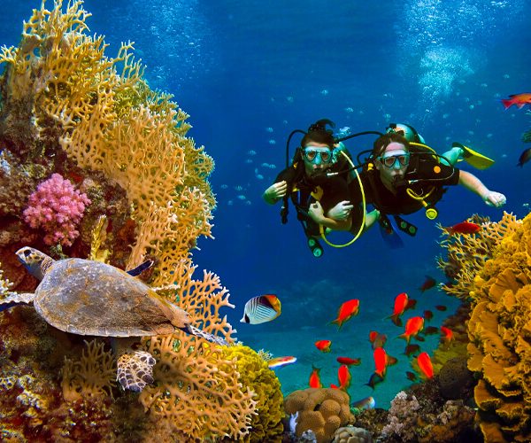 Snorkeling Egypt