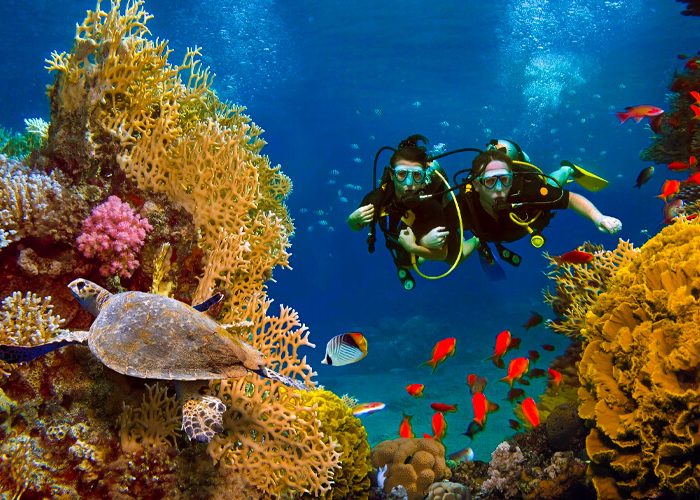 Snorkeling Egypt
