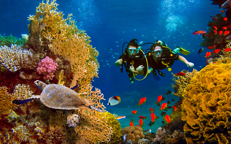 Snorkeling Egypt