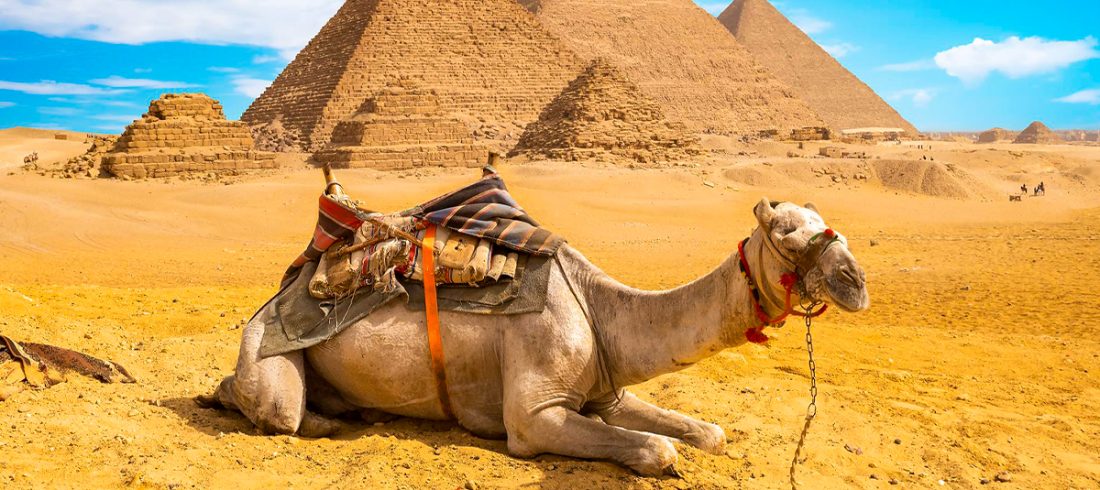 egypt pyramids holiday