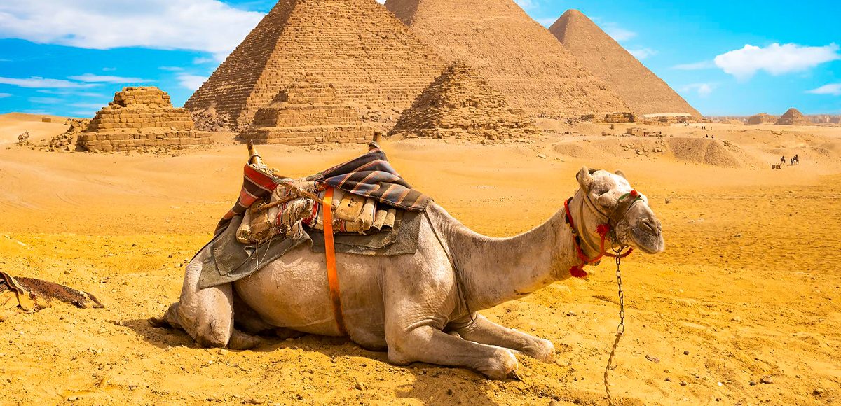 egypt pyramids holiday