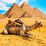 egypt pyramids holiday
