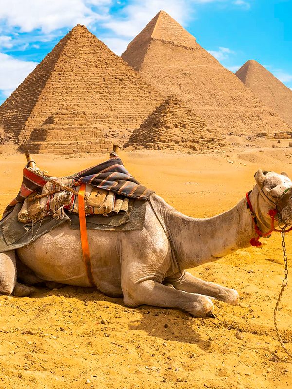 egypt pyramids holiday