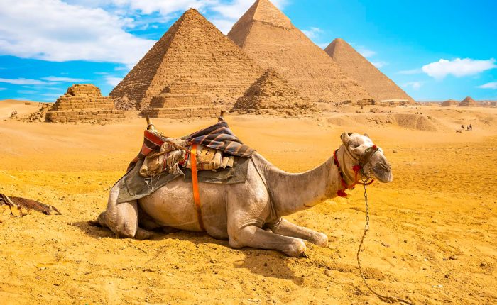 egypt pyramids holiday