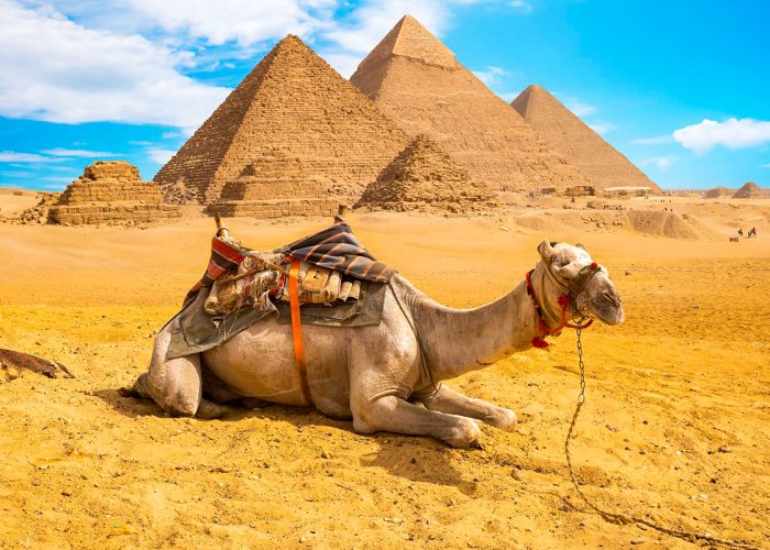 egypt pyramids holiday