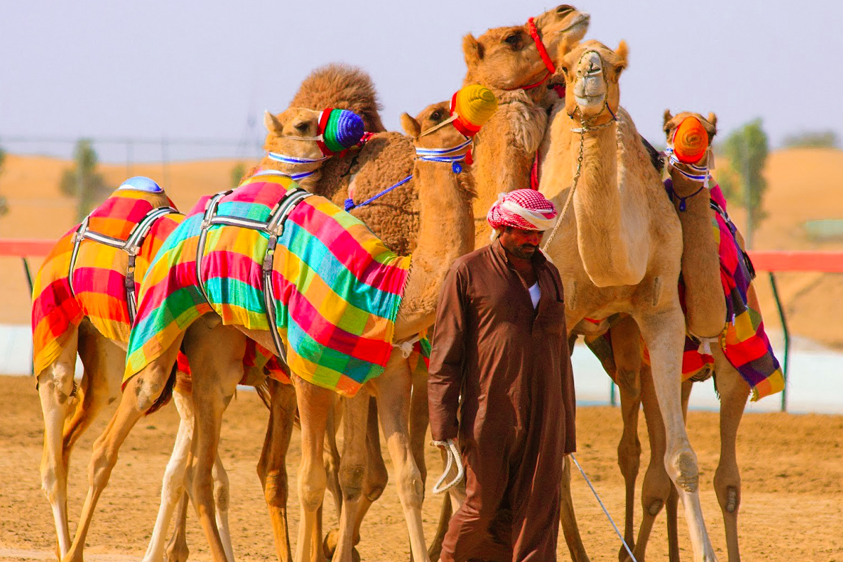 5 star holidays Egypt